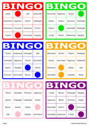 bingo logo